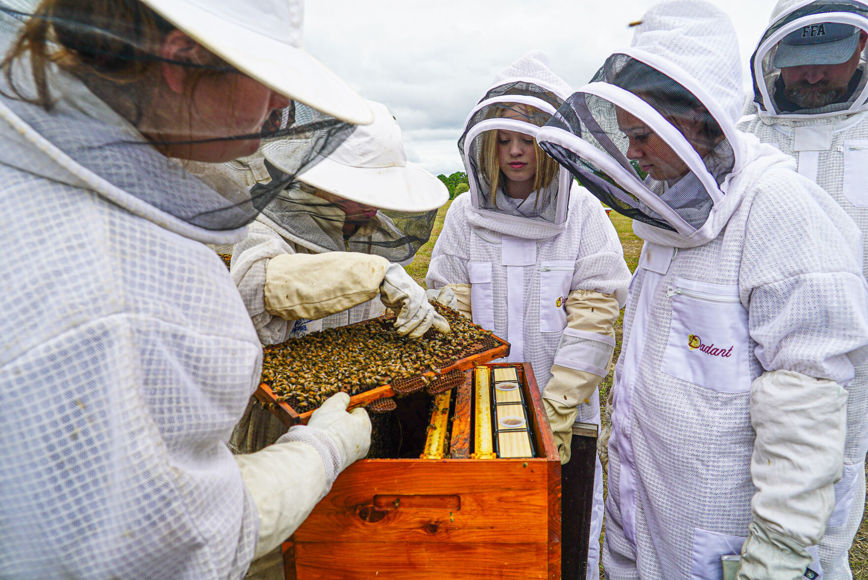 09252020_tmt_news_hawkins_bees_3.jpg